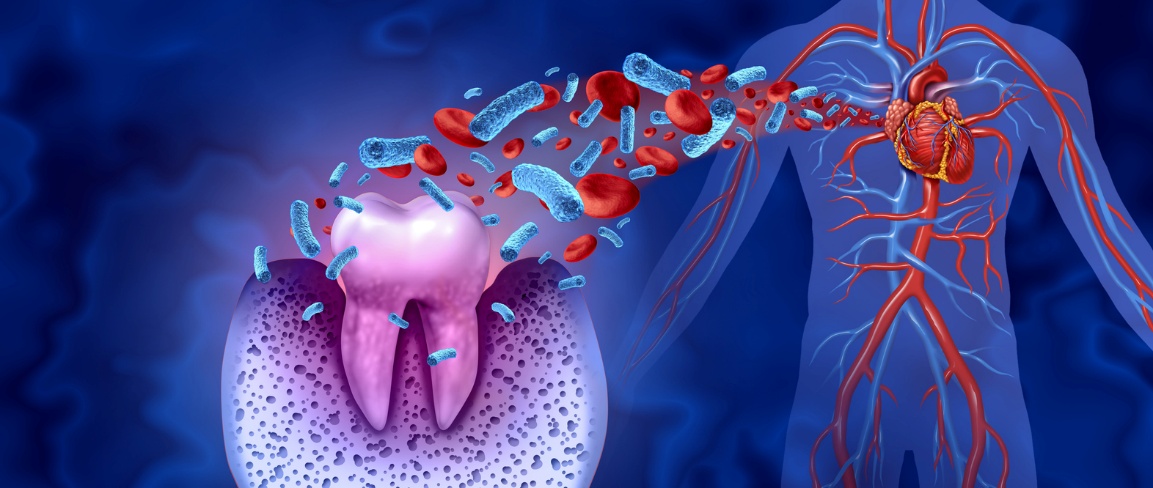Root Canal Health Benefits, A diagram of a root canal